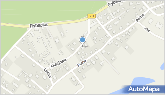 5782439875, Usługi Transportowe Radosław Niziałek 
