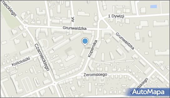 Usługi Transportowe Taxi Przewóz Osób, ul. Kopernika 25A 14-100 - Przedsiębiorstwo, Firma, NIP: 7411198705