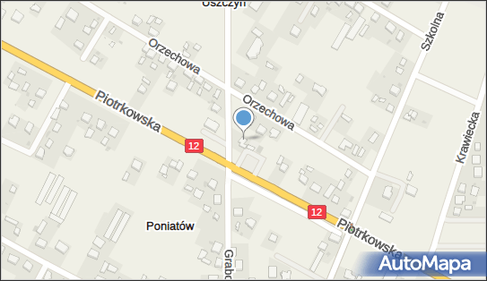 Usługi Transportowe Towarowe Wywóz Drewna z Lasu, ul. Grabowa 8 97-330 - Przedsiębiorstwo, Firma, NIP: 7711337163
