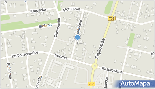 7321338060, Usługi Transportowe Towarowe Czesława Kłos 