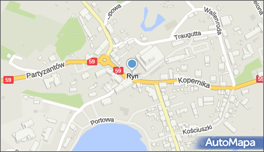 8451021675, Usługi Transportowe w Rynie 