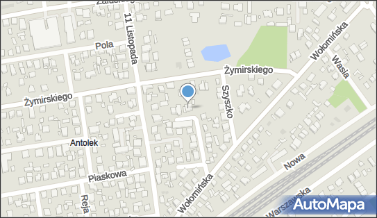 Usługi Transportowe Wojciech Ryszewski, ul. Piotra Wysockiego 11 05-230 - Przedsiębiorstwo, Firma, NIP: 1250830424