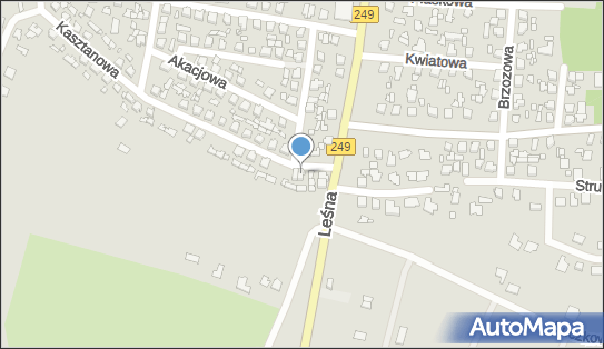 Usługi Transportowe, Kasztanowa 3, Solec Kujawski 86-050 - Przedsiębiorstwo, Firma, numer telefonu, NIP: 9531092324