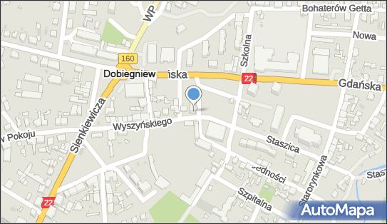 Usługi Transportowe, Jedności Robotniczej 1A, Dobiegniew 66-520 - Przedsiębiorstwo, Firma, NIP: 5941091345