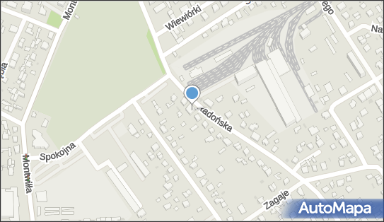5291199628, Usługi Transportowe, Wichniewicz Tomasz 