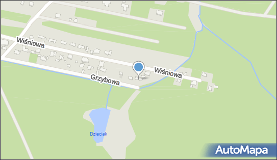 Usługi Transportowe, Grzybowa 21, Konstancin-Jeziorna 05-510 - Przedsiębiorstwo, Firma, numer telefonu, NIP: 1230487012