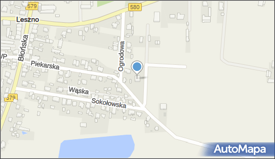 5290017795, Usługi Transportowe, Królikowski Bogdan 