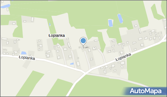8241029280, Usługi Transportowe 