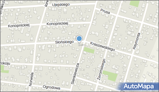 Usługi Transportowe, ul. Edwarda Słońskiego 29, Piastów 05-820 - Przedsiębiorstwo, Firma, NIP: 5341028002