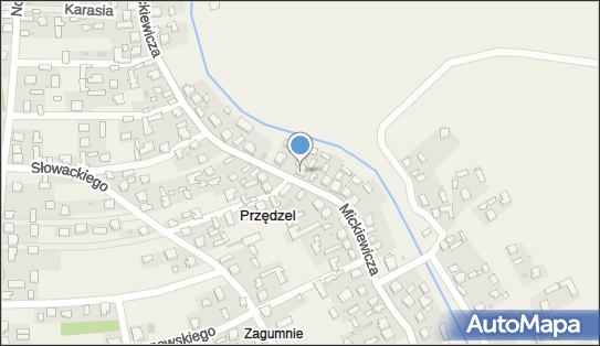 Usługi Transportowe, ul. Adama Mickiewicza 140, Przędzel 37-420 - Przedsiębiorstwo, Firma, NIP: 8651651961