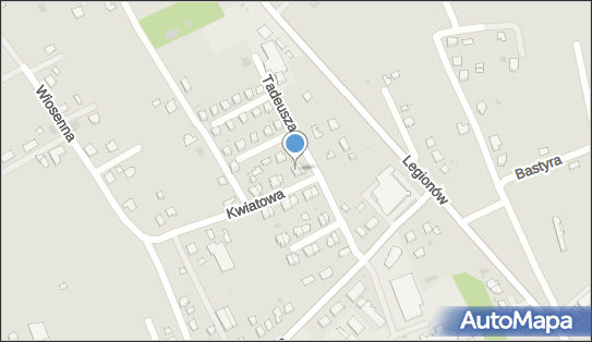 8721398221, Towarowe Usługi Transportowe Józef Papiernik 