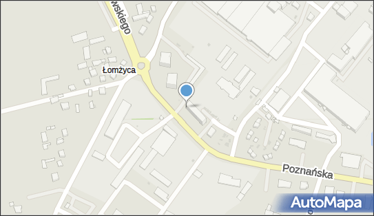 7181113288, Usługi Transportowe - Henryk Sołogub 