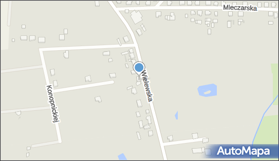 090098546, Usługi Transportowe Laskowski Jerzy 