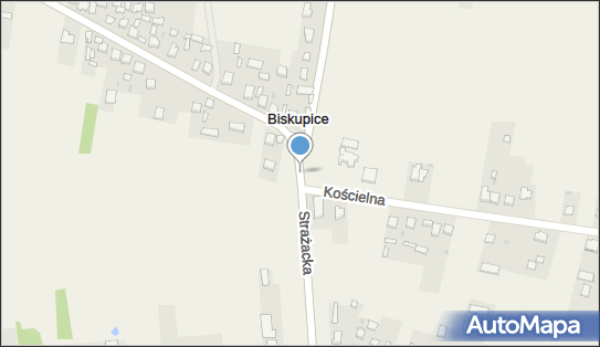 9491890024, Usługi Transportowe Krzysztof Szecówka 
