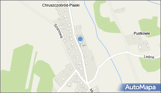 6491908521, Usługi Transportowe Marcin Sielski 