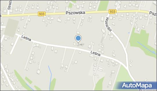Usługi Transportowe, Leśna 16, Wodzisław Śląski 44-300 - Przedsiębiorstwo, Firma, NIP: 6471408459