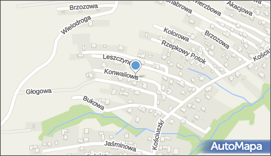 5532116013, Usługi Transportowe Łodziana Tomasz 
