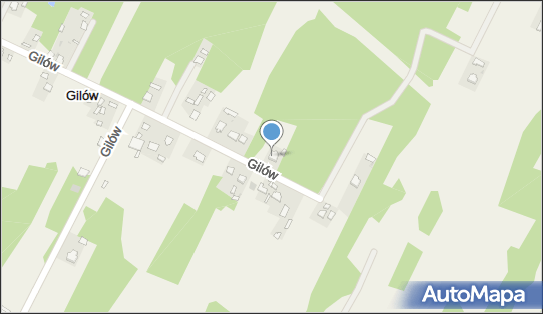 6631008770, Usługi Transportowe Zdzisław Kotowicz 