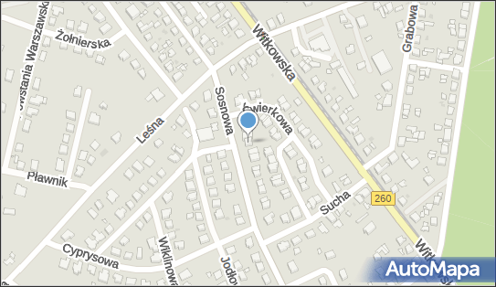 Usługi Transportowe, Sosnowa 7, Gniezno 62-200 - Przedsiębiorstwo, Firma, NIP: 7841058065