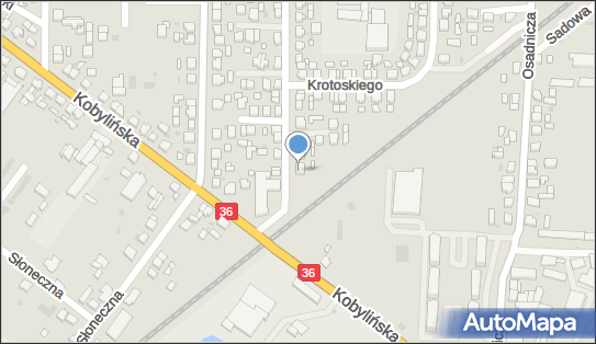 Usługi Transportowe, ul. PAULINA WOJCIECHOWSKIEGO 2, Krotoszyn 63-700 - Przedsiębiorstwo, Firma, NIP: 6211013037