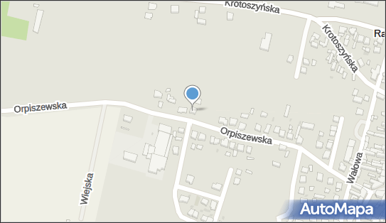 Usługi Transportowe, Orpiszewska 17, Raszków 63-440 - Przedsiębiorstwo, Firma, NIP: 6221638431
