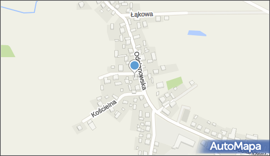 6851330841, Usługi Transportowe -Adam Dziadosz 