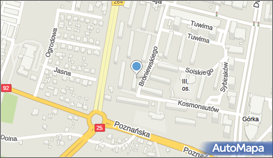 Usługi Transportowe, ul. Władysława Broniewskiego 6, Konin 62-510 - Przedsiębiorstwo, Firma, NIP: 6651409621