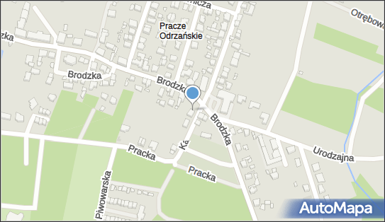 Usługi Transportowo-Handlowe Pasieczny Michał, Brodzka 144 54-067 - Przedsiębiorstwo, Firma, NIP: 8940003978