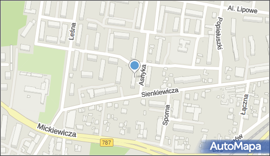 8121386238, Usługi Transportu Leśnego 
