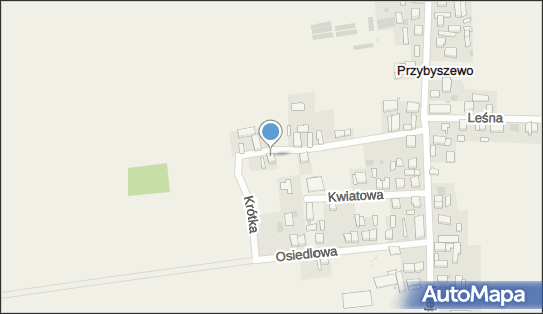 Usługi w Kierowaniu Pojazdami Przybyszewo, Krótka 21, Przybyszewo 64-100 - Przedsiębiorstwo, Firma, NIP: 6971551208