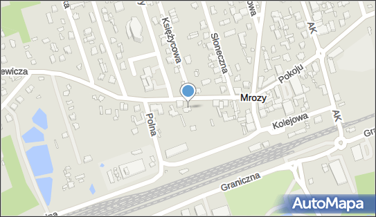 Usługi w Zakresie Dostawy Gazu, ul. Adama Mickiewicza 23A, Mrozy 05-320 - Przedsiębiorstwo, Firma, NIP: 8221009110