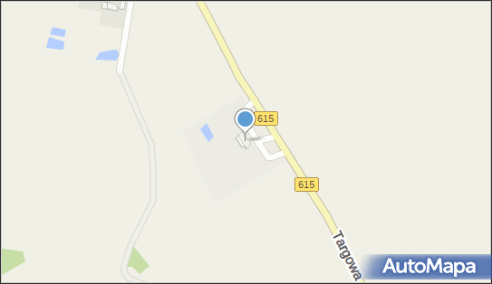 Usługi Weterynaryjne, ul. Adama Mickiewicza 62M1, Stupsk 06-561 - Przedsiębiorstwo, Firma, numer telefonu, NIP: 5691052567