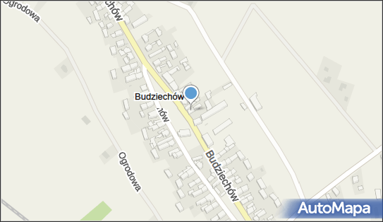 Usługi, Budziechów 74, Budziechów 68-300 - Przedsiębiorstwo, Firma, NIP: 9281151869