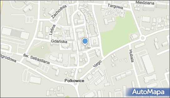 Video-Foto Express Lucyna Borowska, Rynek 35, Polkowice 59-100 - Przedsiębiorstwo, Firma, NIP: 6920204135
