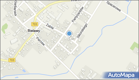 Video Studio Czas, ul. Żabia 12, Bielawy 99-423 - Przedsiębiorstwo, Firma, NIP: 8341002116