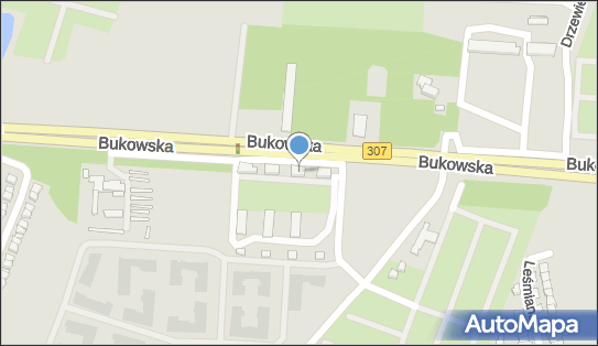 Viola Przedsiębiorstwo Usługowe Violetta Sobkowiak, Bukowska 250 60-189 - Przedsiębiorstwo, Firma, NIP: 7791242682