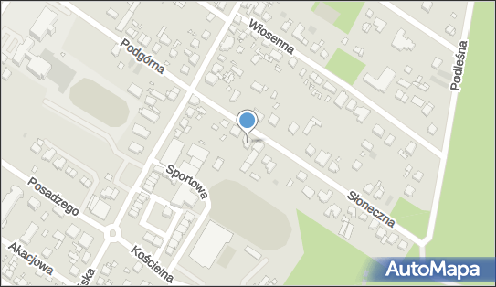 Virago Produkt, ul. Słoneczna 8, Puszczykowo 62-040 - Przedsiębiorstwo, Firma, NIP: 7771145438