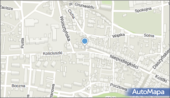 Vision Optyk Renata Tomys, Kościuszki Tadeusza, gen. 1, Wschowa 67-400 - Przedsiębiorstwo, Firma, NIP: 9231612587