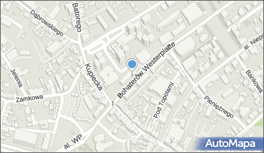 Visionoptyk, ul. Bohaterów Westerplatte 9, Zielona Góra 65-034 - Przedsiębiorstwo, Firma, numer telefonu, NIP: 9730041039