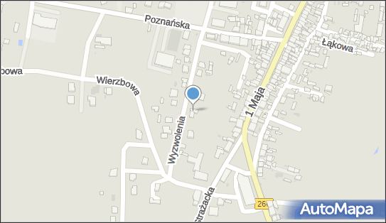 Vit Animal, Wyzwolenia 23, Piotrków Kujawski 88-230 - Przedsiębiorstwo, Firma, NIP: 8891322211