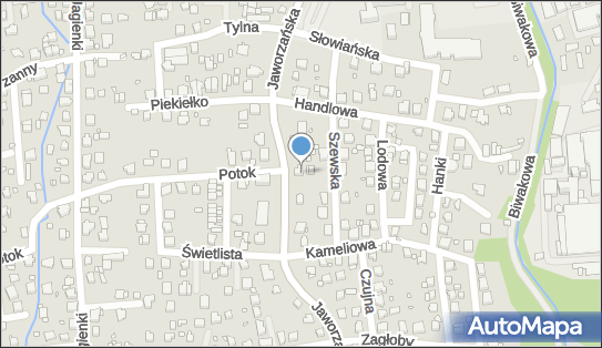 Vital Dent Płucienniczak Sławomir, ul. Jaworzańska 29 43-382 - Przedsiębiorstwo, Firma, NIP: 5472111979