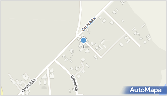 Viva Cars, Orcholska 76a, Gniezno 62-200 - Przedsiębiorstwo, Firma, NIP: 7842025949