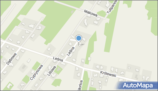 1181929992, 
