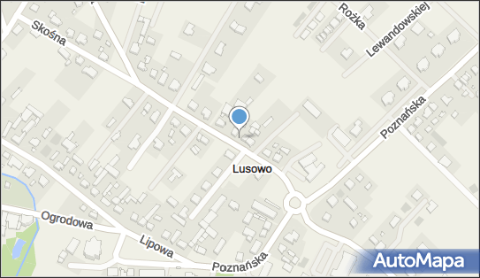 w Grajek Kwiaty Świata, ul. Wierzbowa 18, Lusowo 62-080 - Przedsiębiorstwo, Firma, numer telefonu, NIP: 7822112935