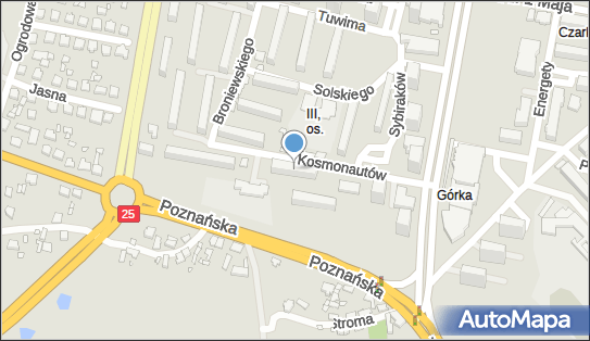 Walasz Radomir Marirad, Kosmonautów 6, Konin 62-510 - Przedsiębiorstwo, Firma, NIP: 6651460585