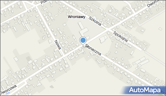 Waldan Company Danuta Walkowiak, Dworcowa 40, Wroniawy 64-200 - Przedsiębiorstwo, Firma, NIP: 7771023959
