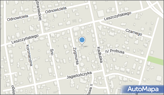 Waldemar Grossman, Zygmunta Augusta 5A, Warszawa 02-496 - Przedsiębiorstwo, Firma, NIP: 5222476208