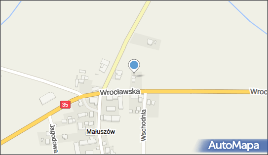 Waldemar Hoffmann, Wrocławska 2, Małuszów 55-040 - Przedsiębiorstwo, Firma, NIP: 8971020883