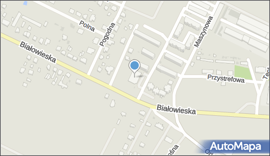 Waldemar Wasilewski, Białowieska 107, Bielsk Podlaski 17-100 - Przedsiębiorstwo, Firma, NIP: 5432036875