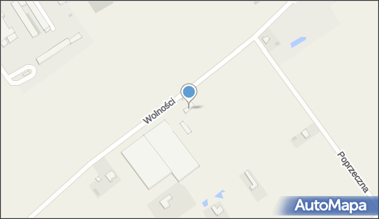 Walkowiak Paweł - , Waltrans '''' Usługi, Handel, Spedycja 64-140 - Przedsiębiorstwo, Firma, NIP: 6971676915